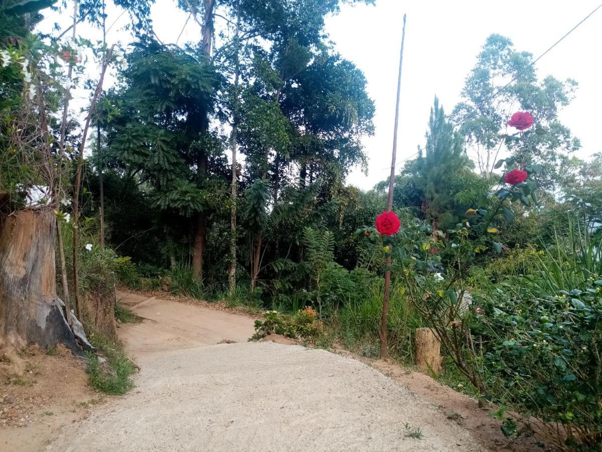 Apurvi Homestay Ella Exterior photo