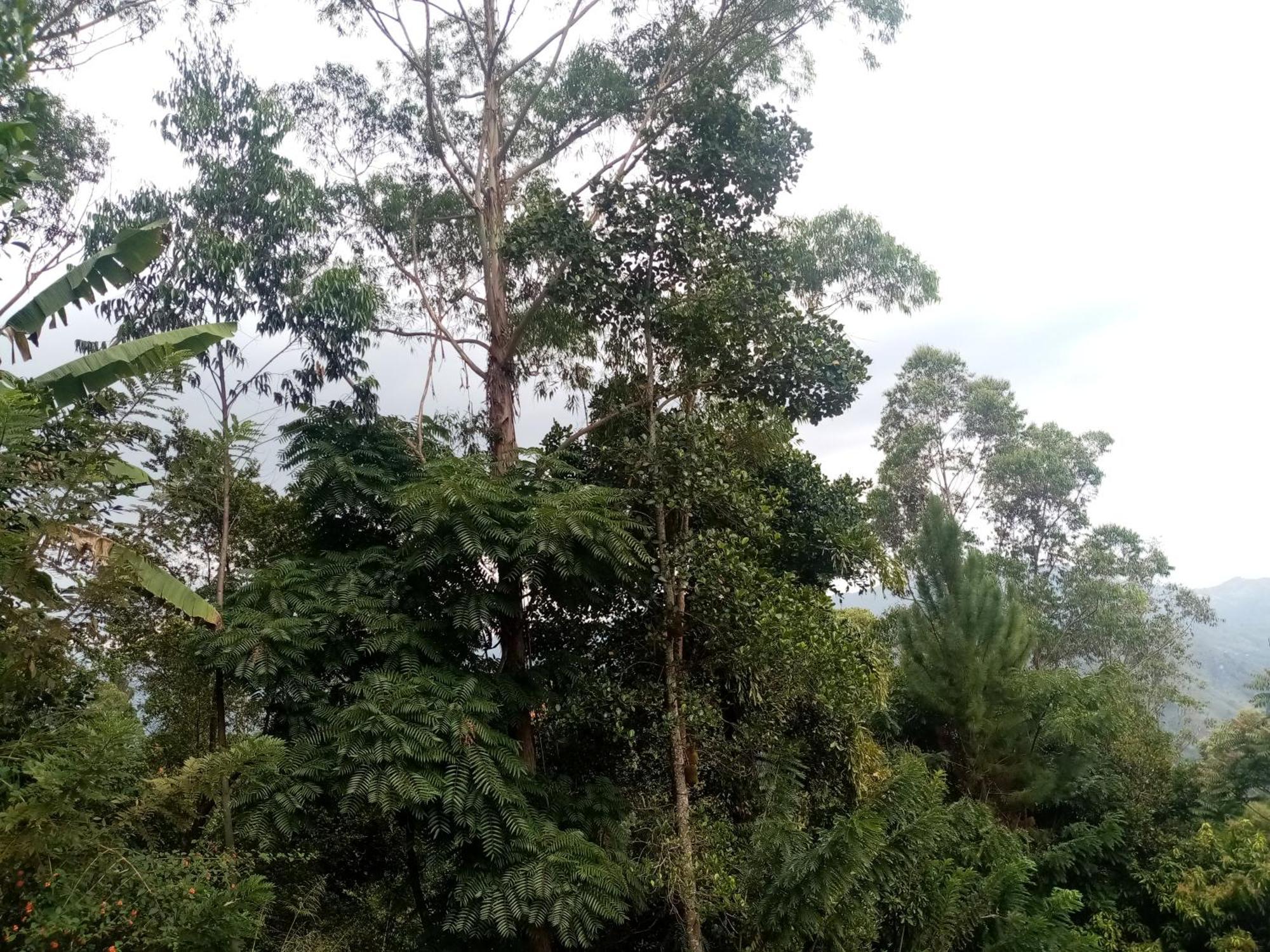 Apurvi Homestay Ella Exterior photo